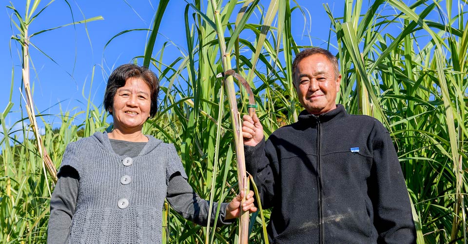よこやま株式会社